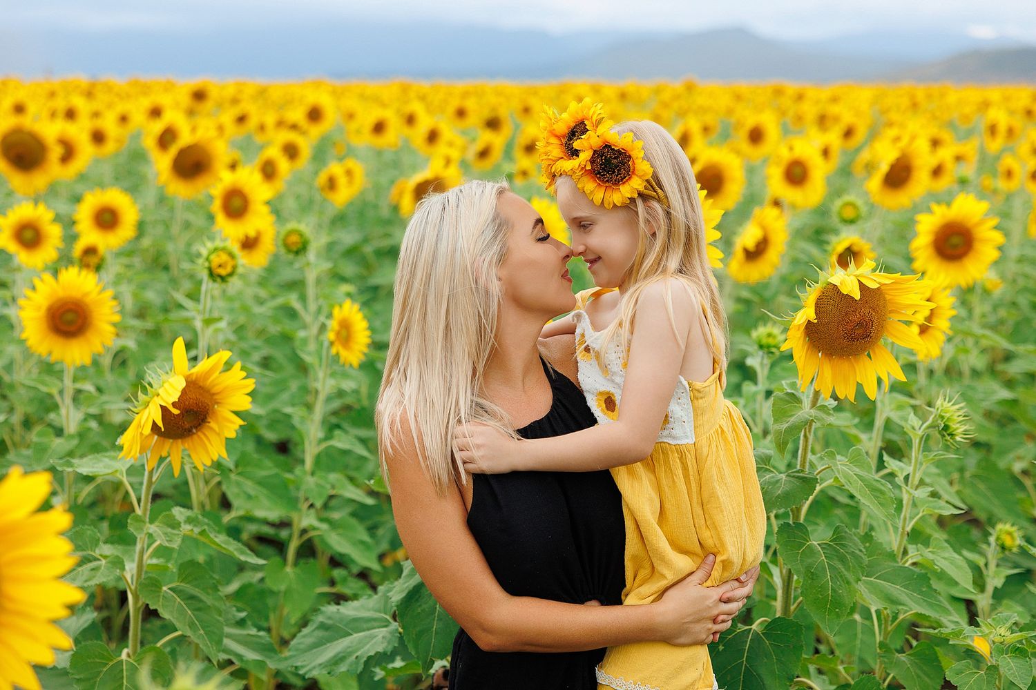 A pair dressed in black and yellow share a tender moment in a vibrant field of blooming sunflowers.