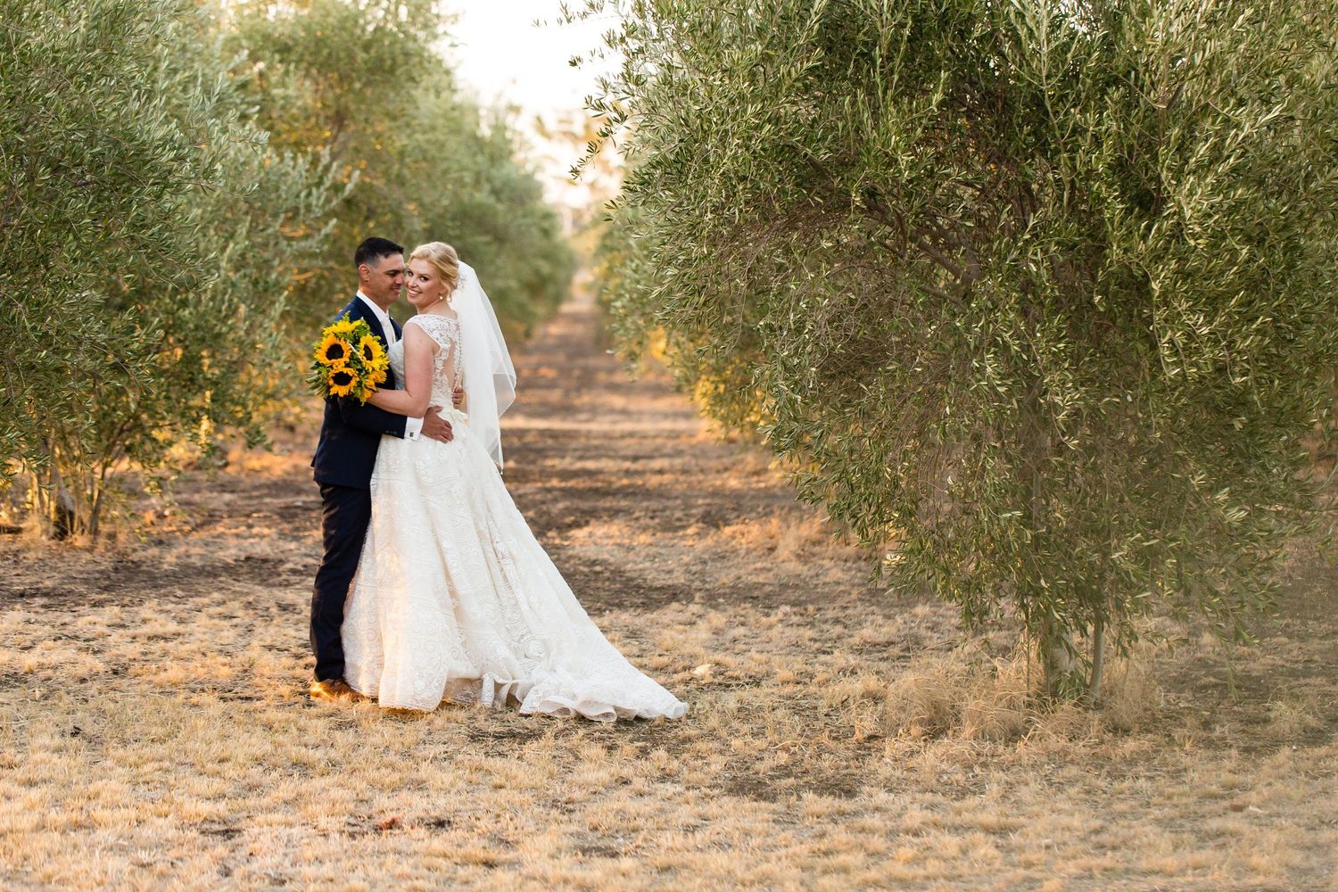 A newlywed couple embraces in an olive grove path during golden hour.