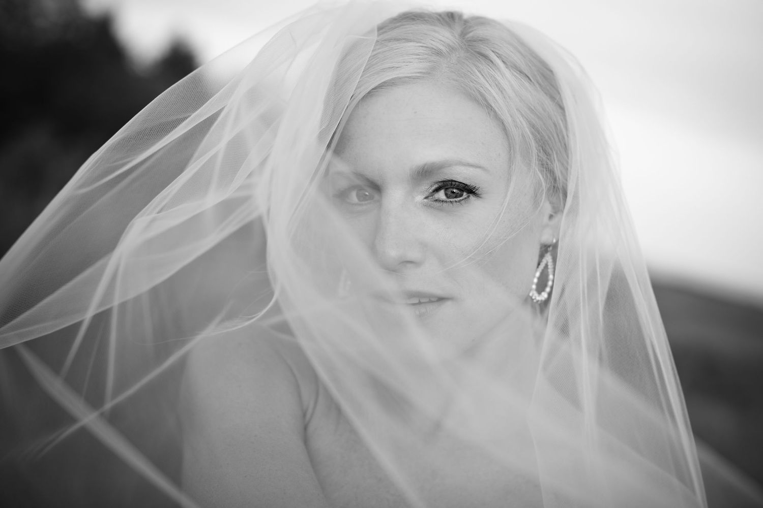 Ethereal bridal portrait with soft veil framing the composition.