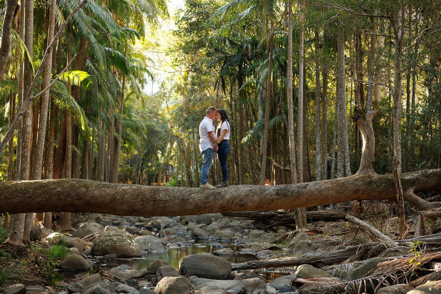 Curved wooden bridge pathway winding through a lush rainforest with bamboo and tropical plants.