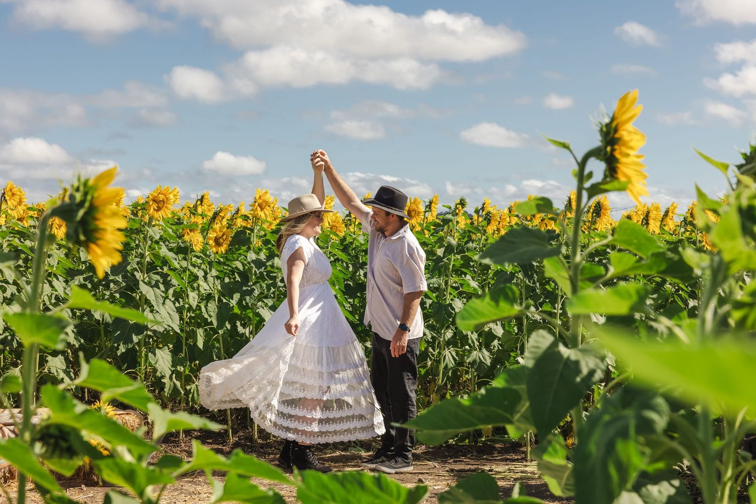 Visitors take photos in a vibrant yellow sunflower field on a sunny summer day with blue skies overhead.