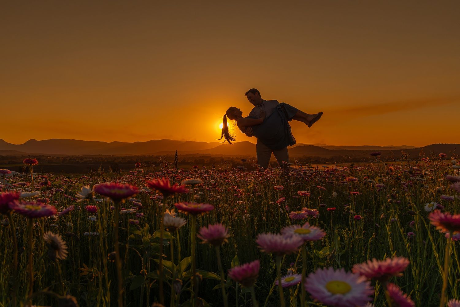 Silhouette of a couple embracing and spinning in a field of pink daisies at golden sunset with mountains on the horizon.