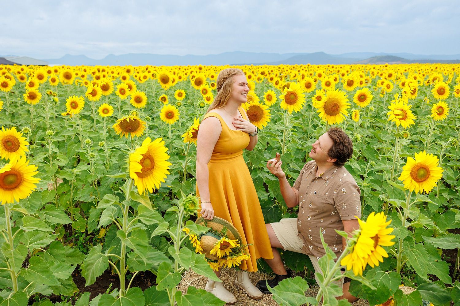 A romantic scene unfolds in a vibrant yellow sunflower field as a couple shares a special moment together.