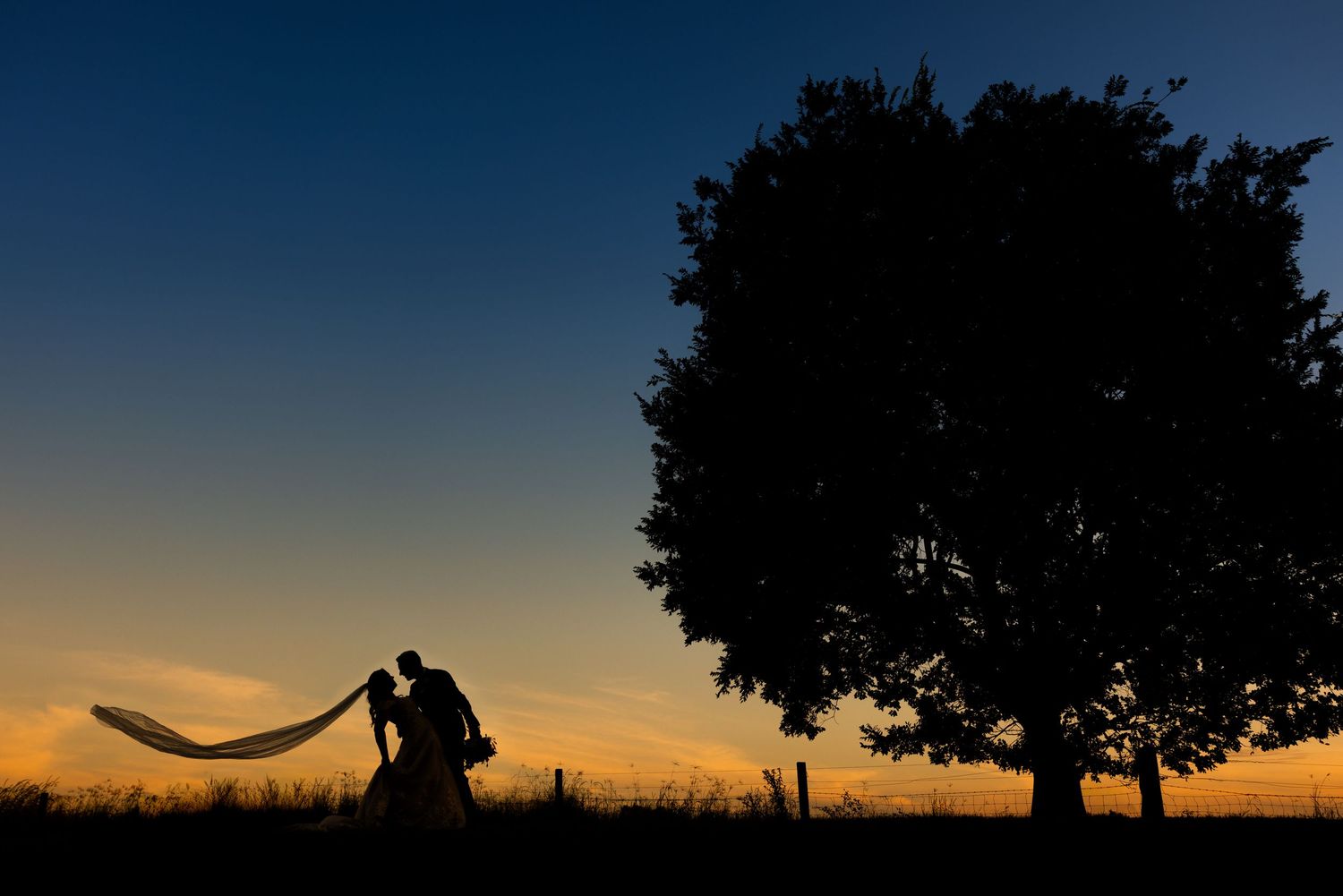 Two silhouettes embrace against a vibrant orange sunset sky with a tree silhouette in the background.