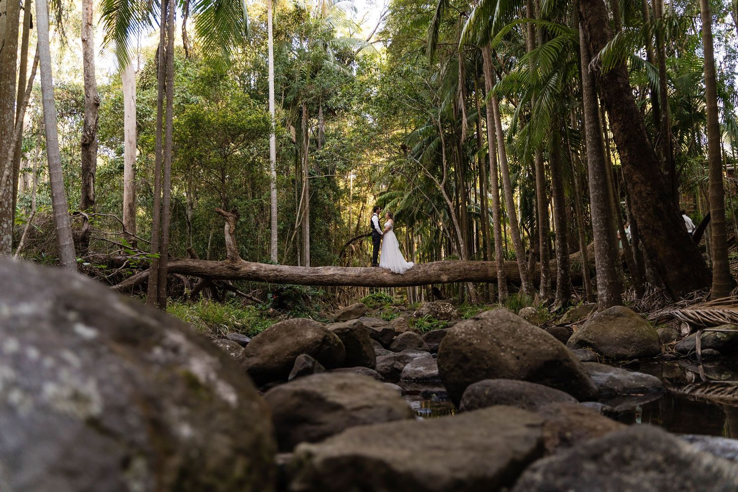 A wedding couple stands on a wooden bridge in a lush tropical forest setting.
