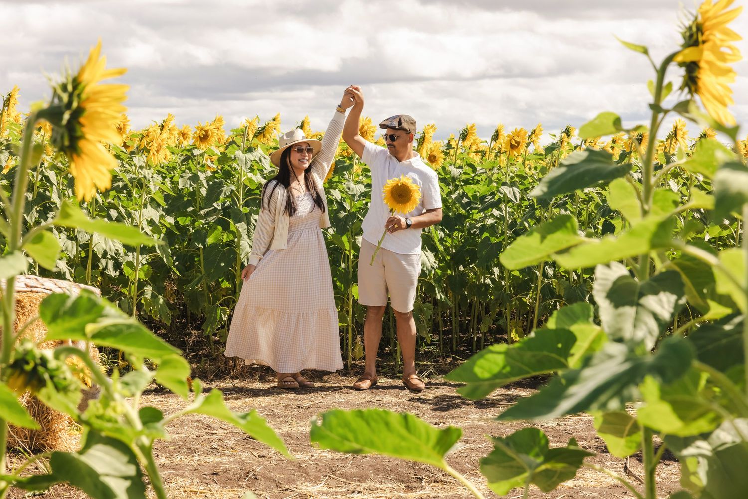 A couple walks hand in hand through a vibrant sunflower field on a partly cloudy day.