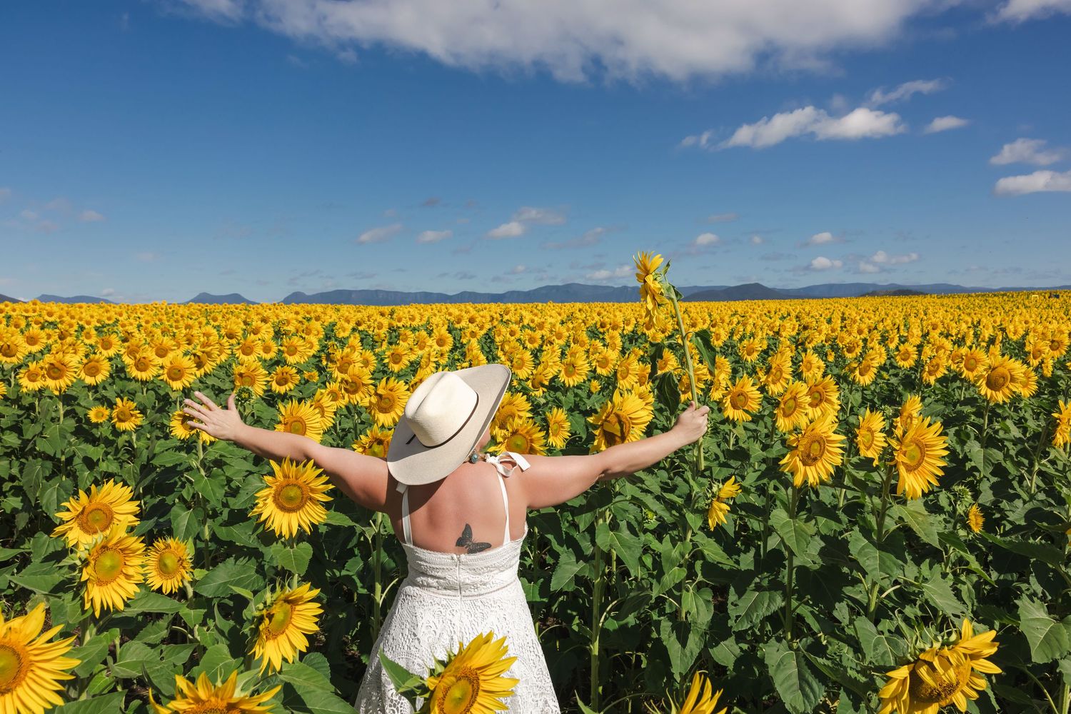 Woman in white dress and hat stands with arms raised in a vast sunflower field under a bright blue sky.