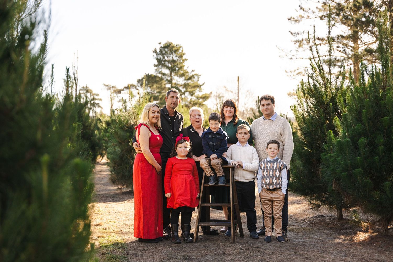 Family portrait session among evergreen trees at sunset with festive holiday attire.