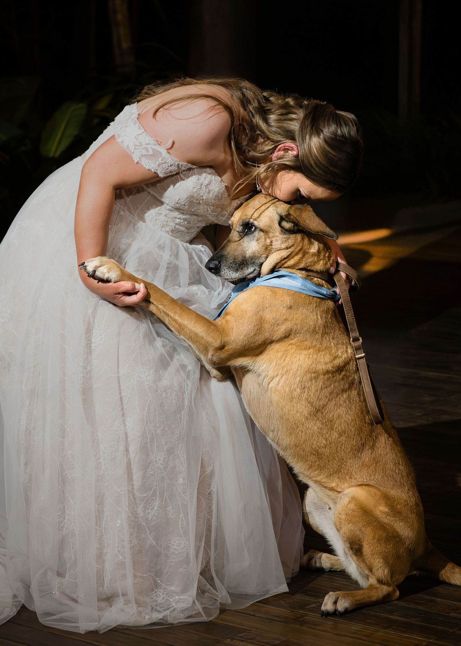 Bride in white lace gown shares tender moment with brown dog wearing blue bow tie at wedding reception.