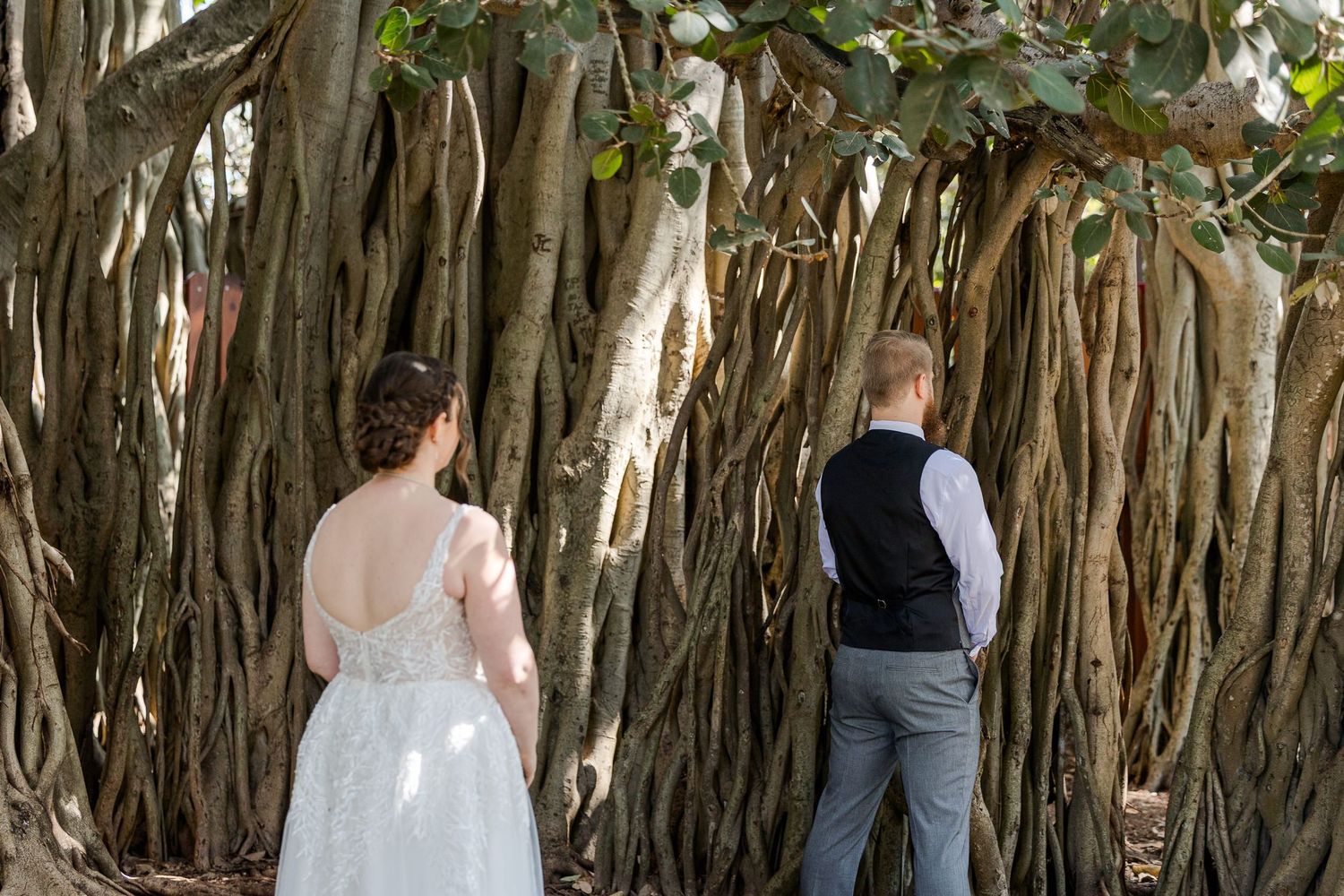 Bride and groom stand before a massive banyan tree with dramatic aerial roots during an outdoor wedding photo session.