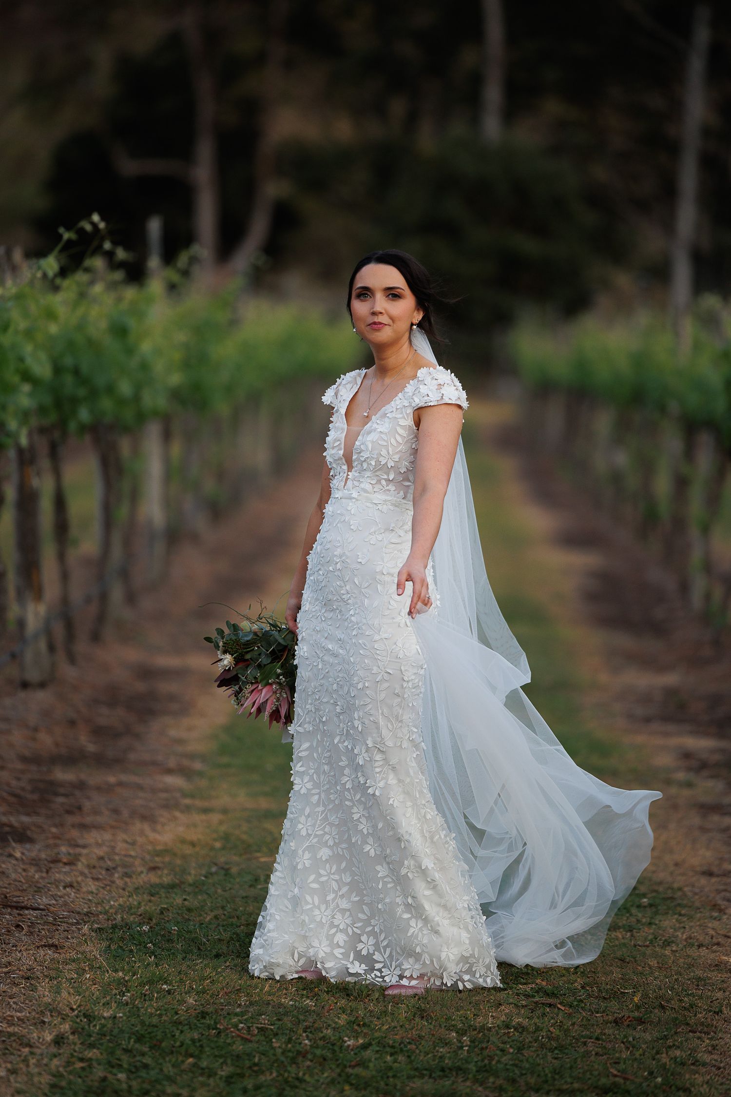Bride in lace wedding gown with flowing veil stands among vineyard rows holding a bouquet.