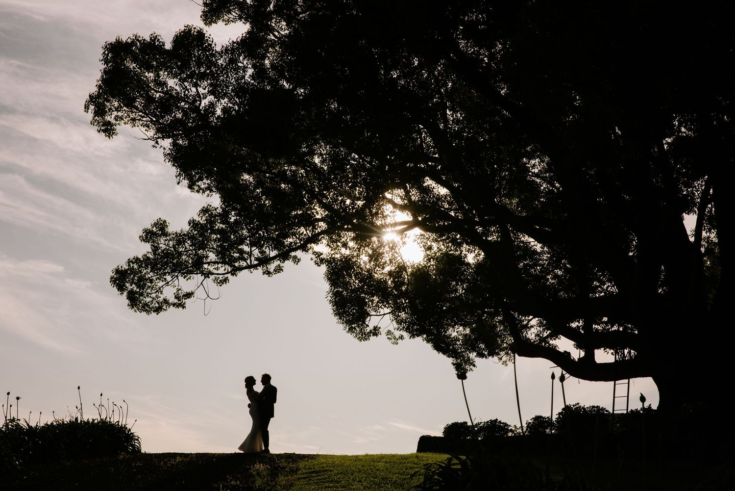 A panoramic view of a lone tree silhouetted against a dramatic cloudy sky at sunset.