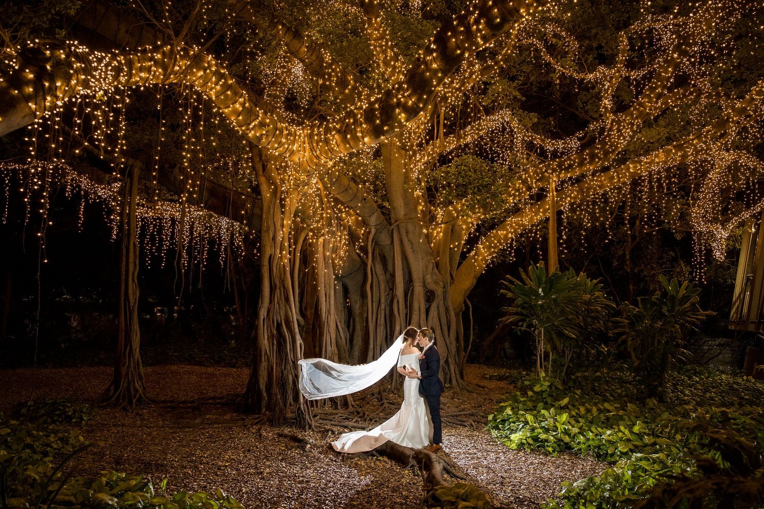 A collection of romantic wedding photos in a wooded setting with golden sunlight filtering through autumn trees.