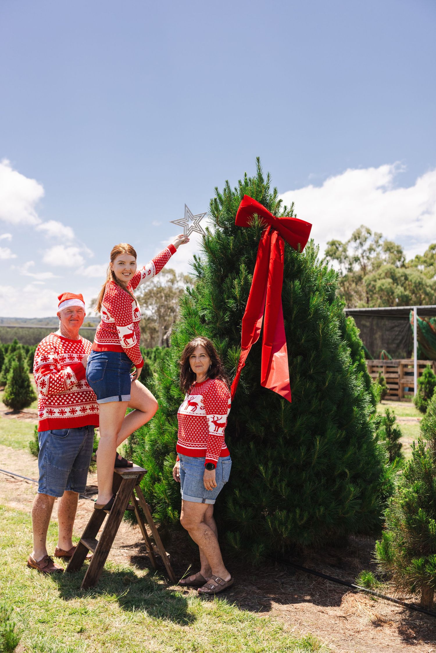 Family wearing matching Christmas sweaters decorates a fresh evergreen tree at an outdoor tree farm on a sunny day.