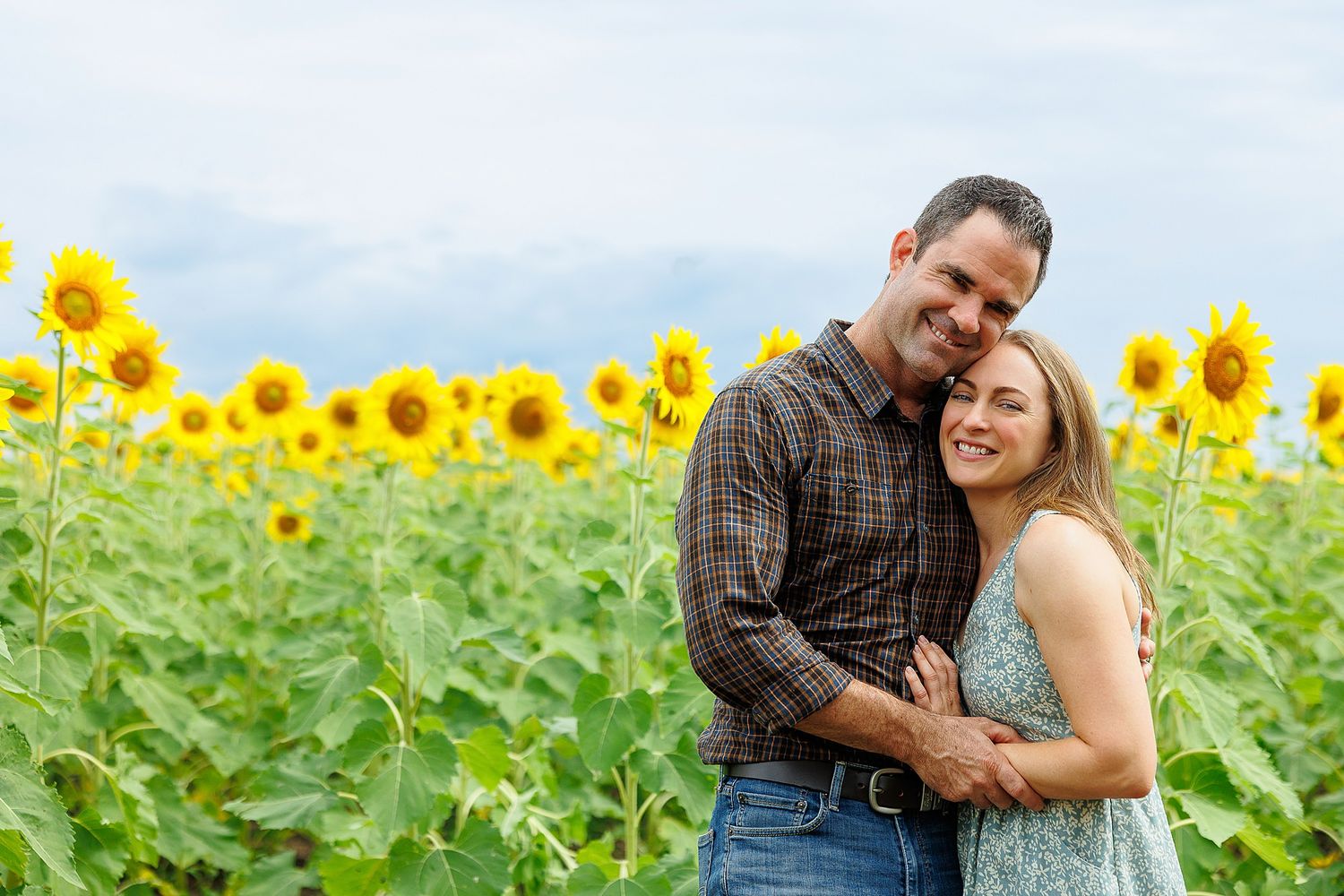 A couple embraces in a vibrant field of tall yellow sunflowers on a bright summer day.