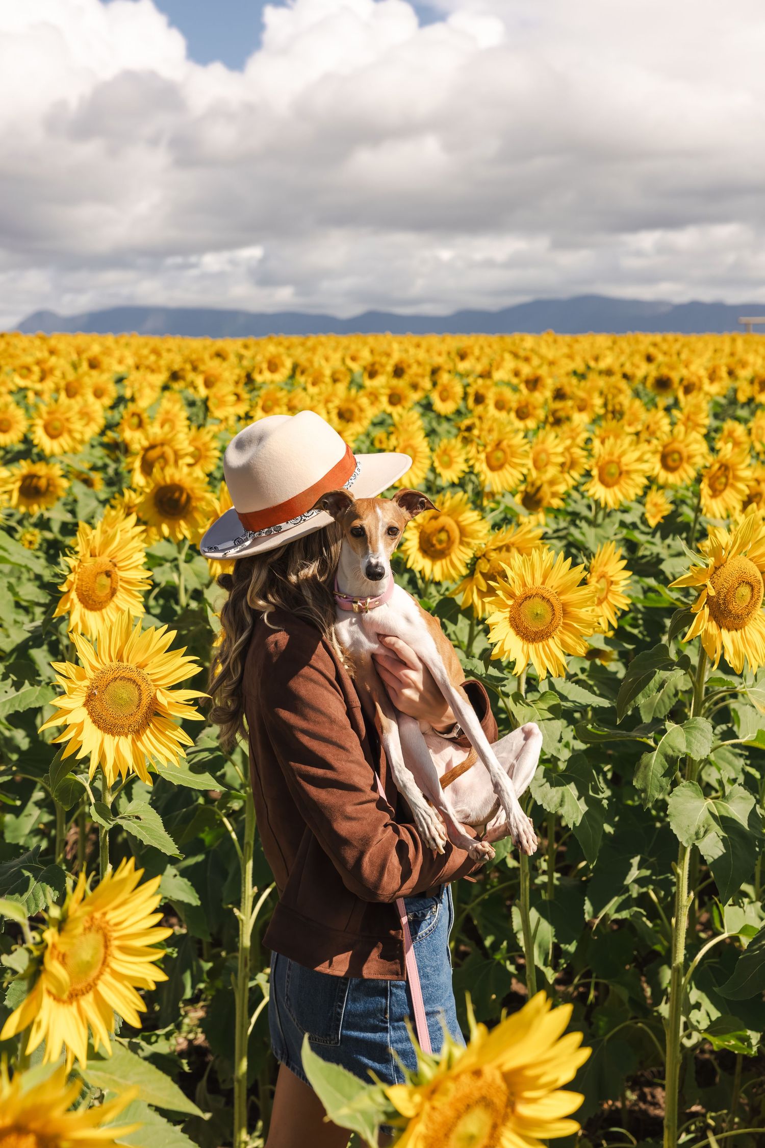 Young woman in hat holding small dog among tall yellow sunflowers in a sunny field.