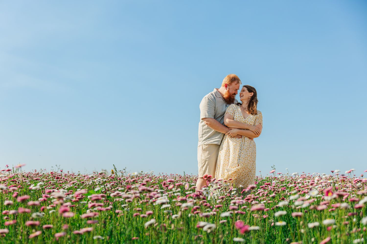 Couple embracing romantically in a blooming pink flower field under a clear blue sky.