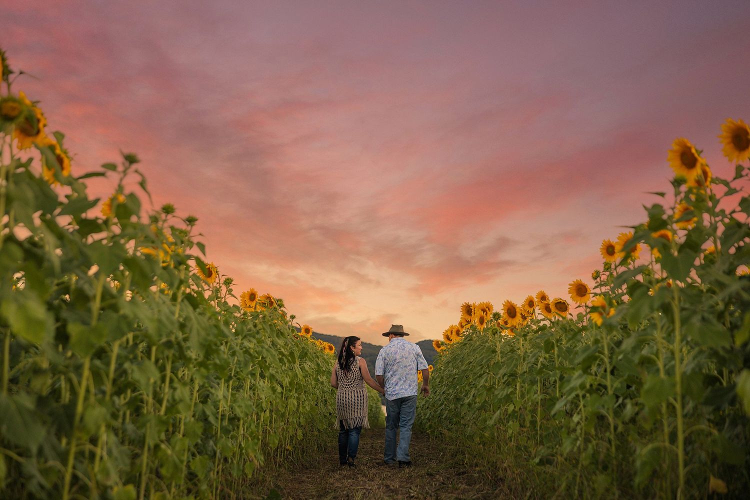 Two people walk hand in hand through a sunflower field at sunset with pink and orange sky overhead.