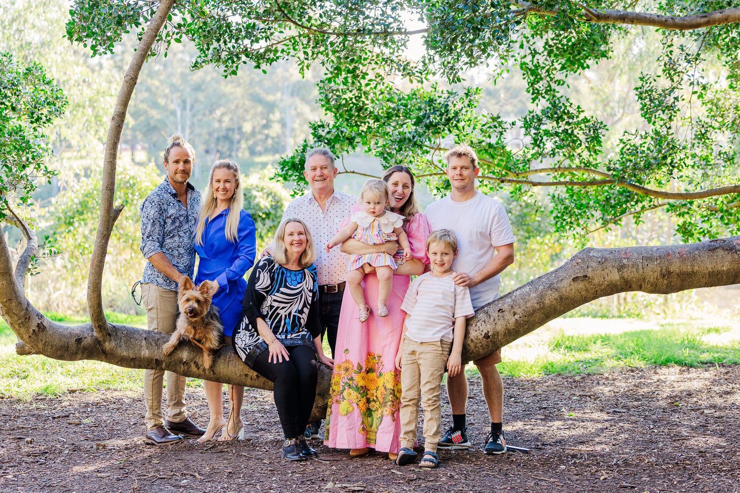 Multi-generational family group poses together on a large tree branch in a sunny outdoor setting.