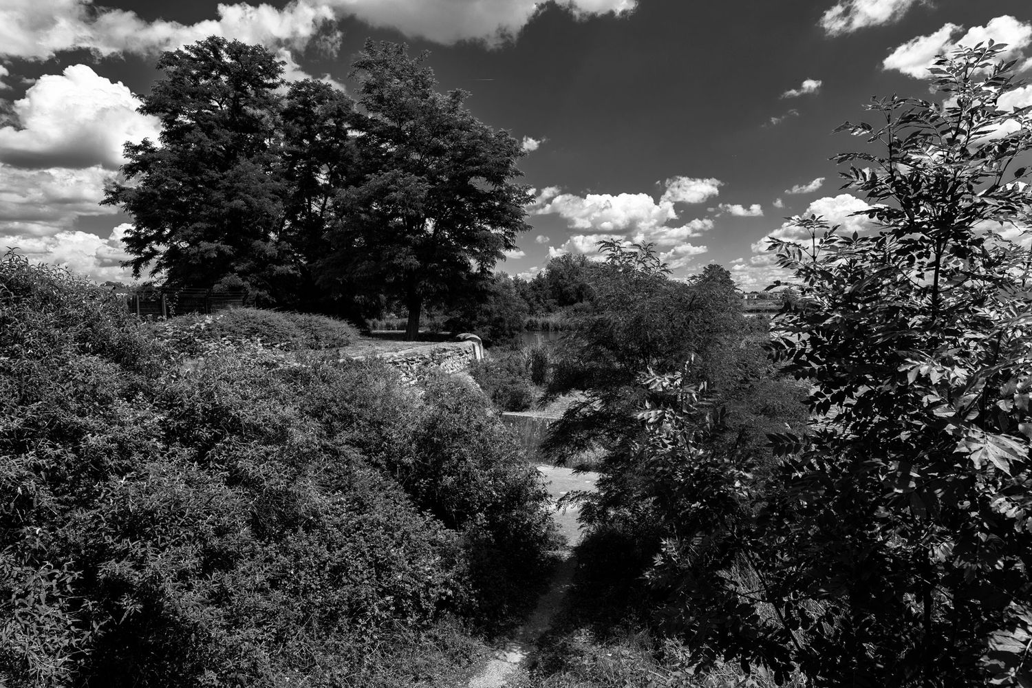 Paysage immortalisé, ambiance graphique, lumière contrastée / Nancy