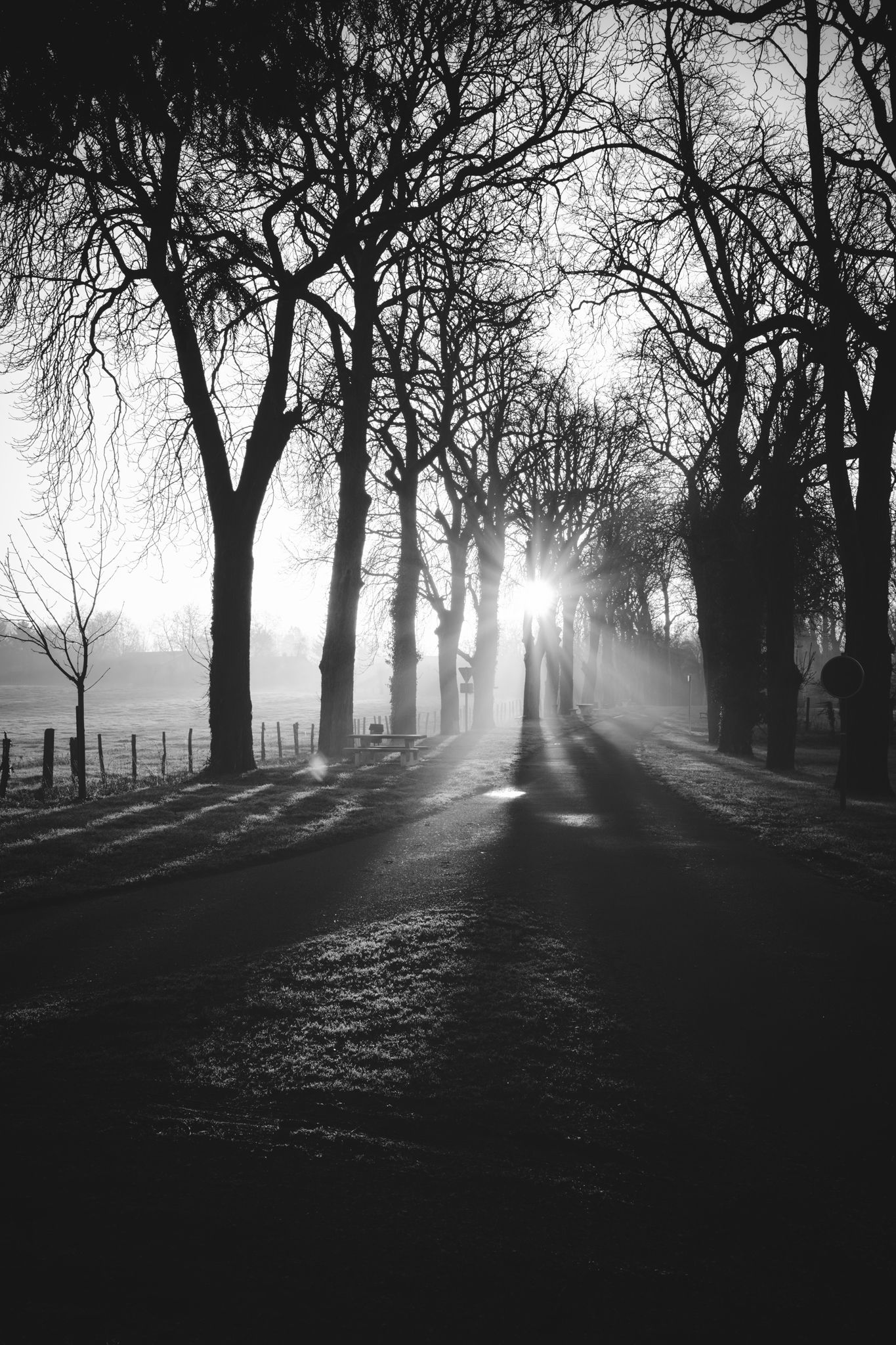 Paysage immortalisé, ambiance graphique, lumière contrastée / Coucher de soleil / Champagne