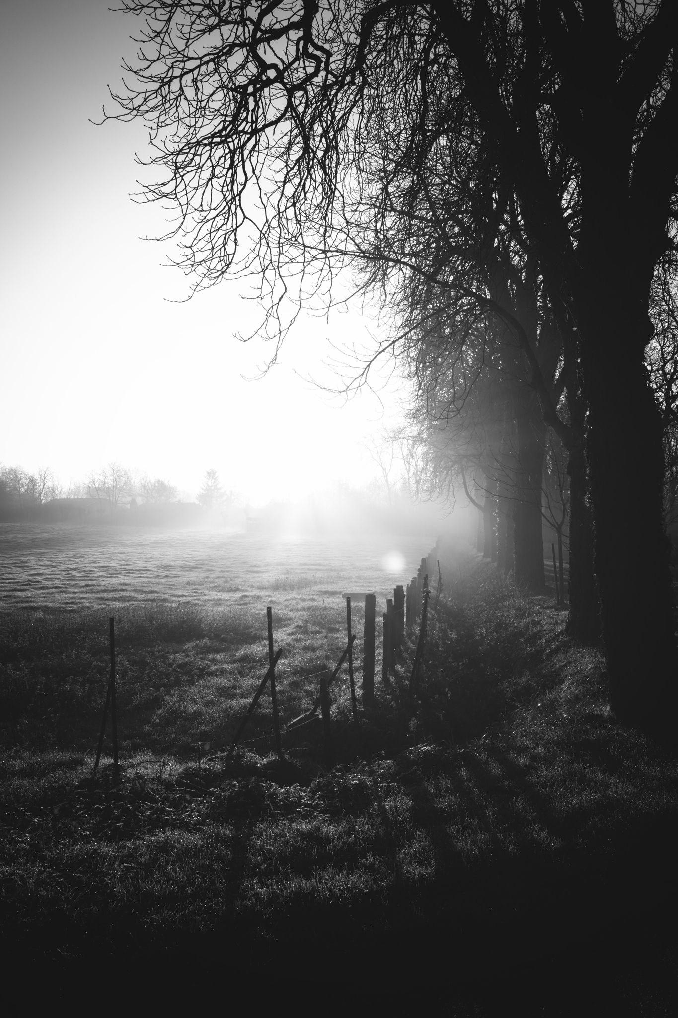 Paysage immortalisé, ambiance graphique, lumière contrastée / Coucher de soleil / Champagne