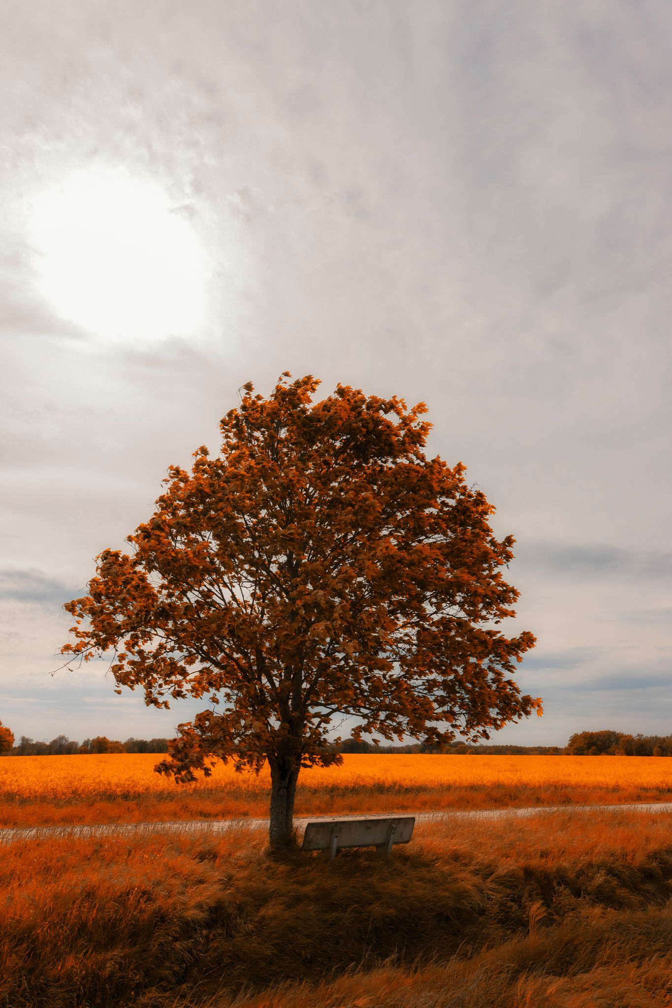 Paysage immortalisé, ambiance graphique, lumière contrastée