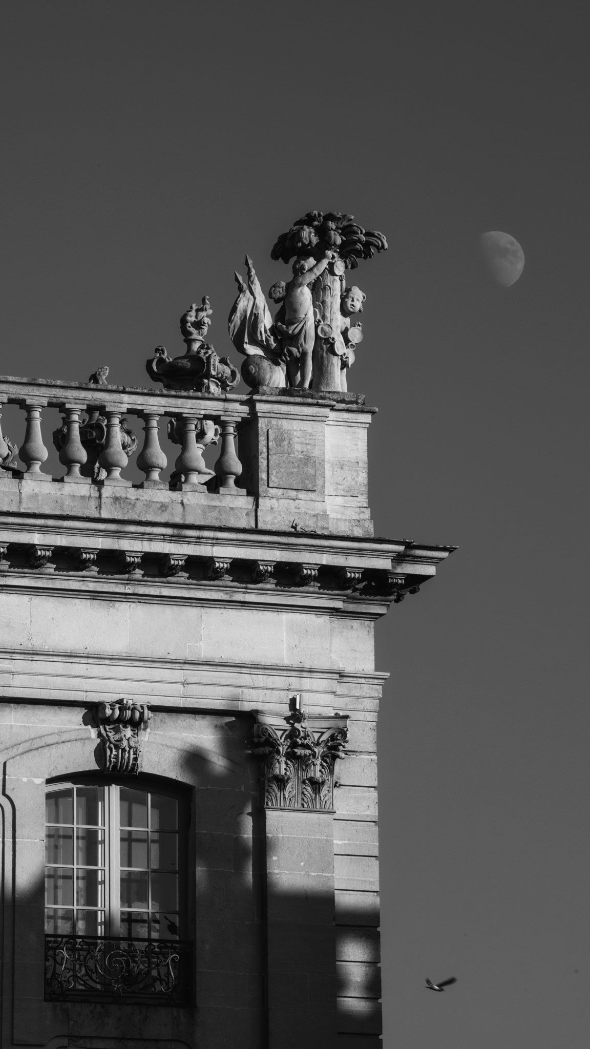 Paysage immortalisé, ambiance graphique, lumière contrastée / Nancy Place Stanislas