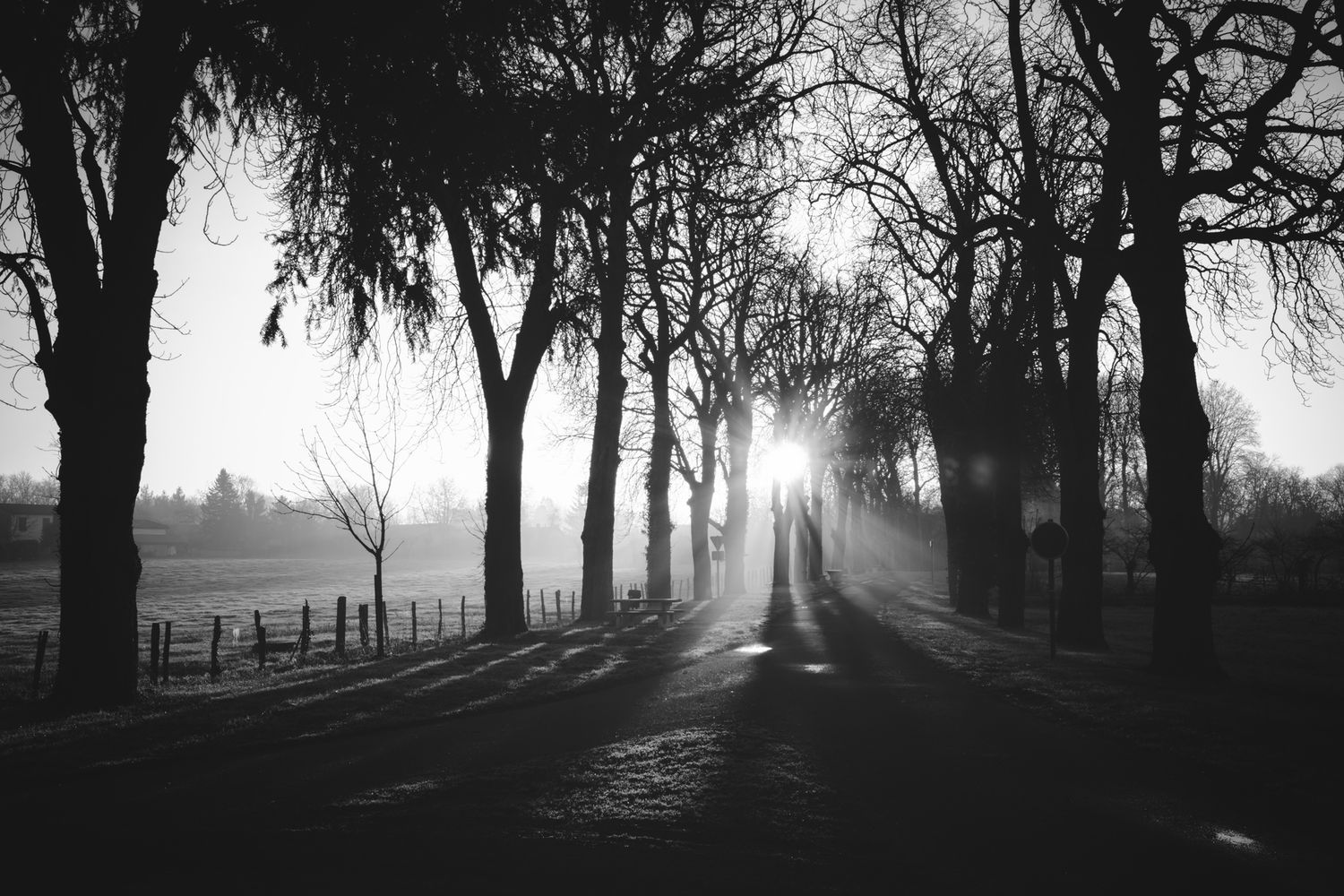 Paysage immortalisé, ambiance graphique, lumière contrastée / Coucher de soleil / Champagne