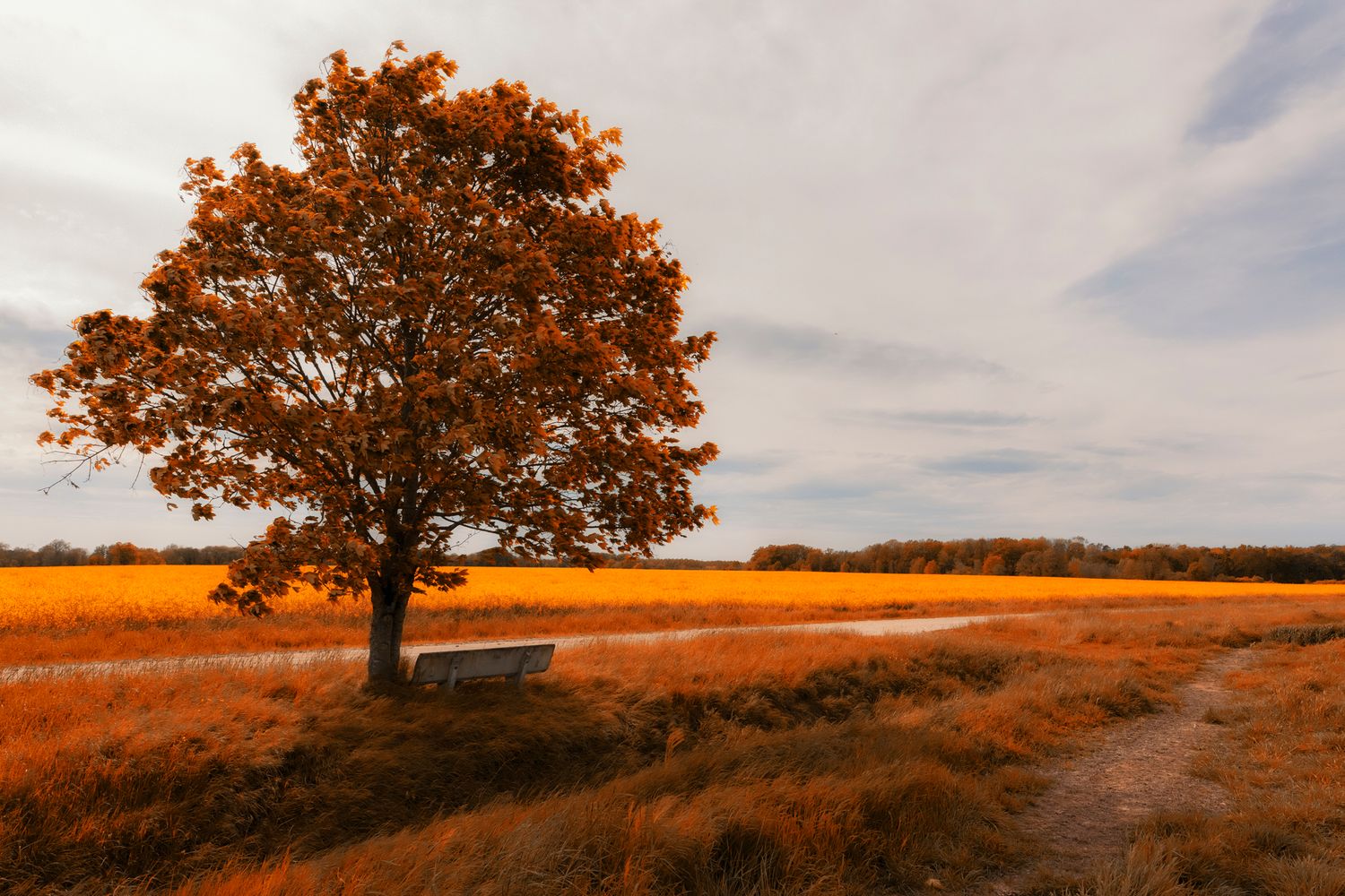 Paysage immortalisé, ambiance graphique, lumière contrastée