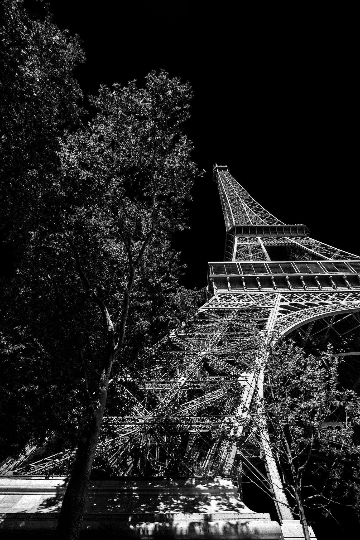 Paysage immortalisé, ambiance graphique, lumière contrastée / Tour Eiffel