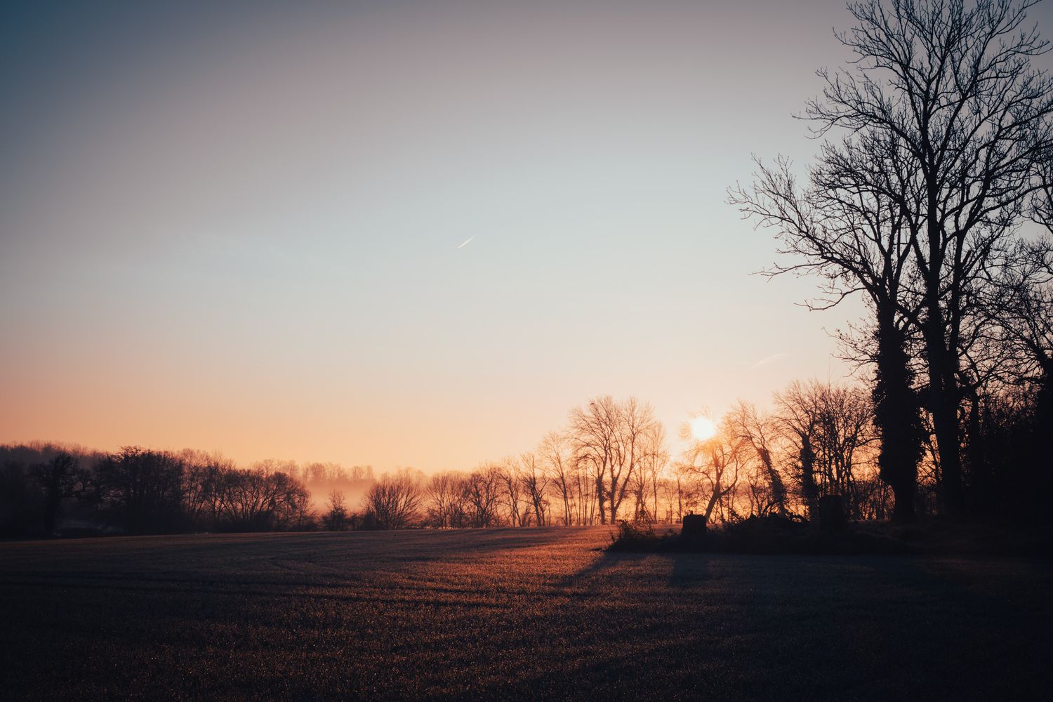 Paysage immortalisé, ambiance graphique, lumière contrastée / Coucher de soleil / Champagne