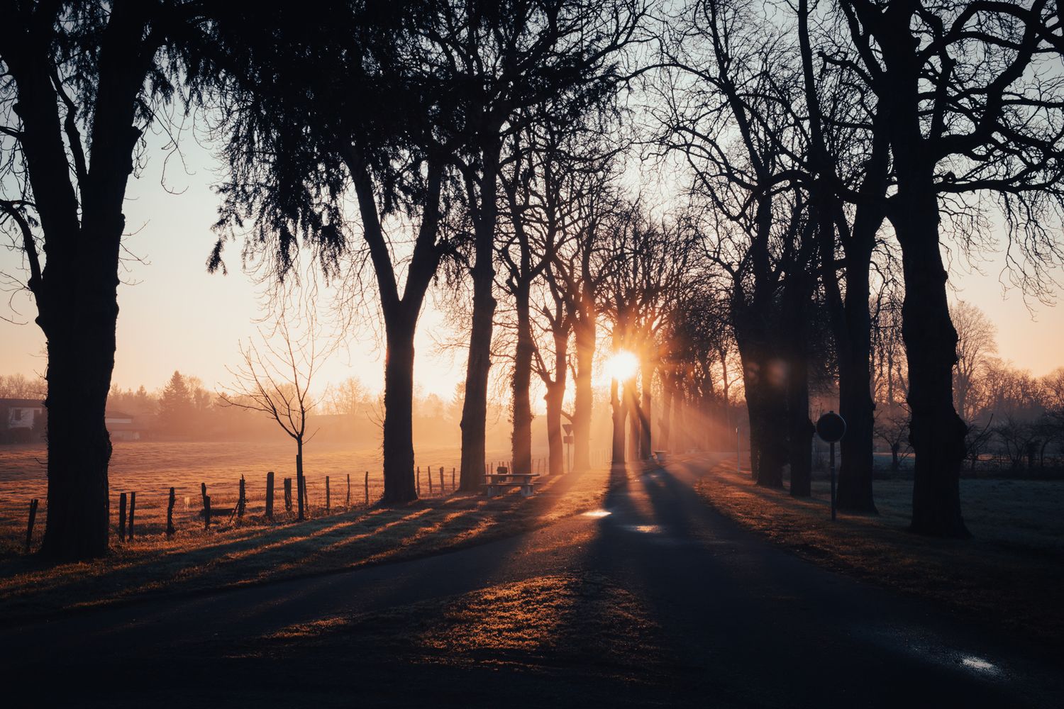 Paysage immortalisé, ambiance graphique, lumière contrastée / Coucher de soleil / Champagne