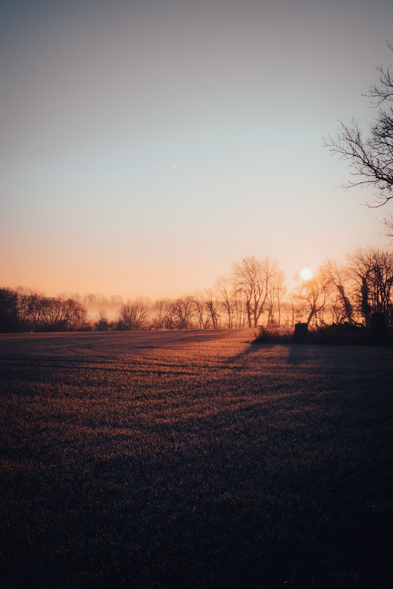 Paysage immortalisé, ambiance graphique, lumière contrastée / Coucher de soleil / Champagne