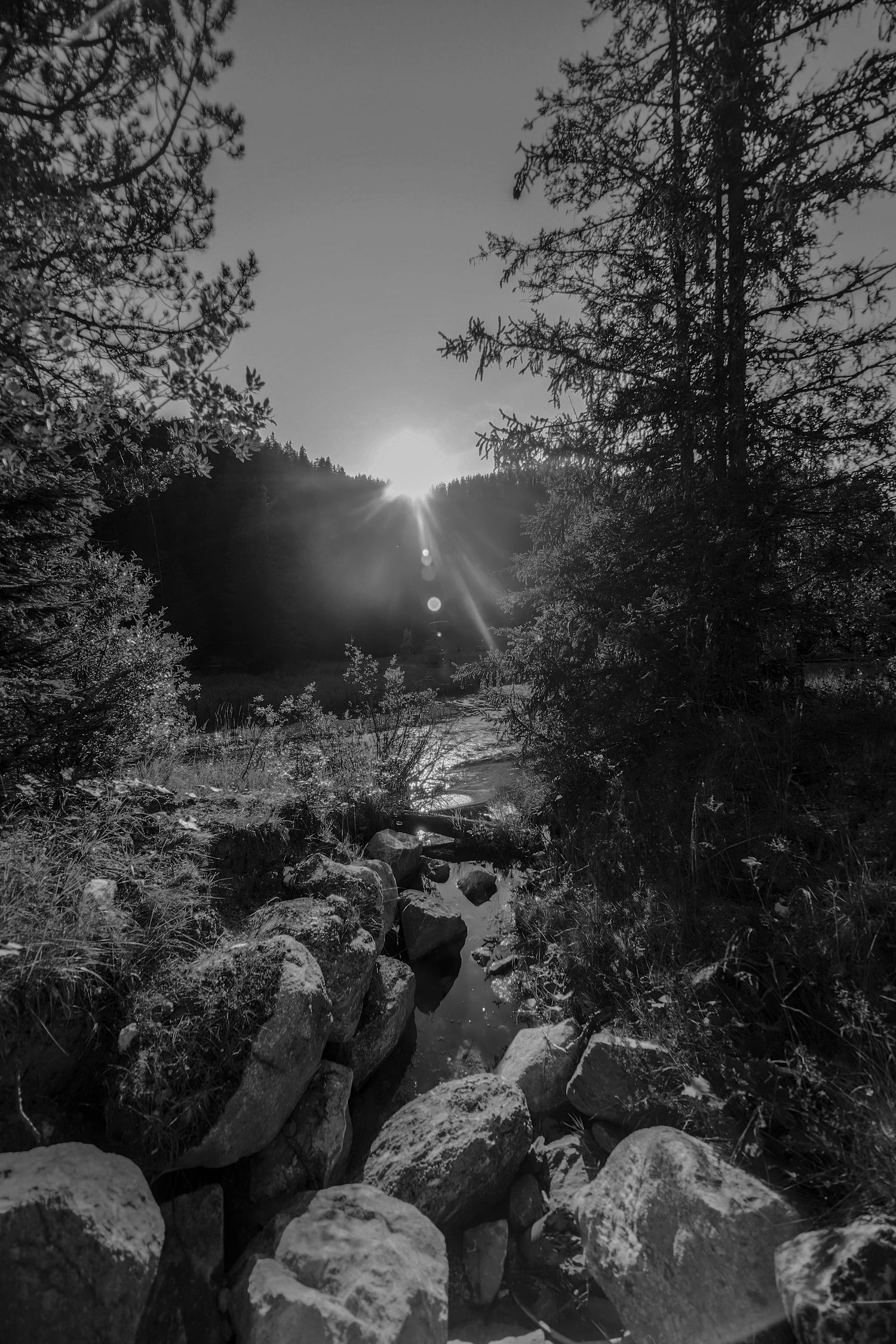 Paysage immortalisé, ambiance graphique, lumière contrastée