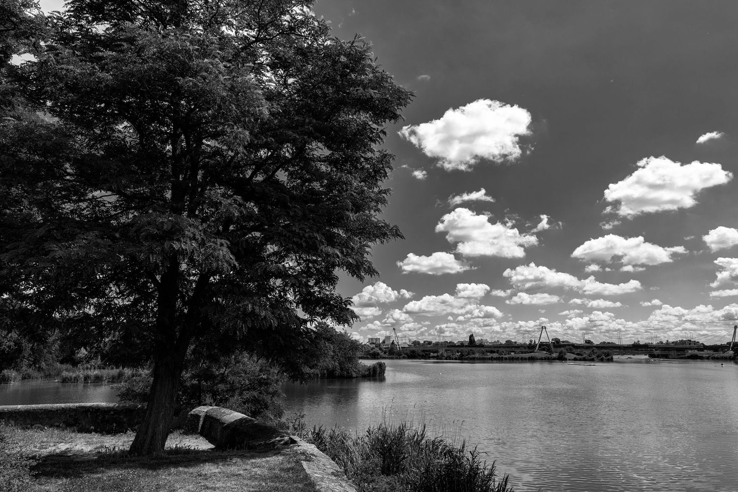 Paysage immortalisé, ambiance graphique, lumière contrastée / Nancy