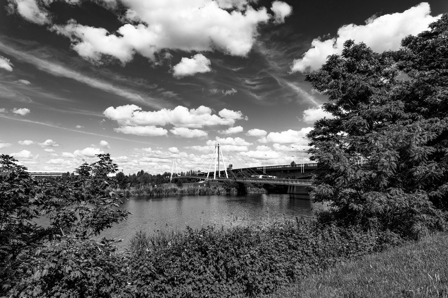 Paysage immortalisé, ambiance graphique, lumière contrastée / Nancy