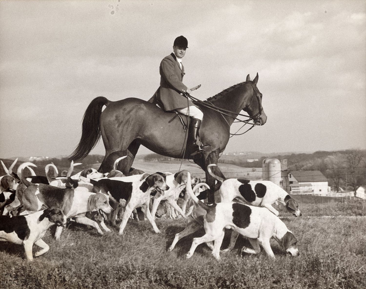 Bobby Fenwick riding the horse, Jay Trump, with the Green Spring Valley Hounds