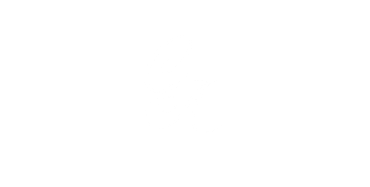 A plain white blank image with no visible content or design elements.