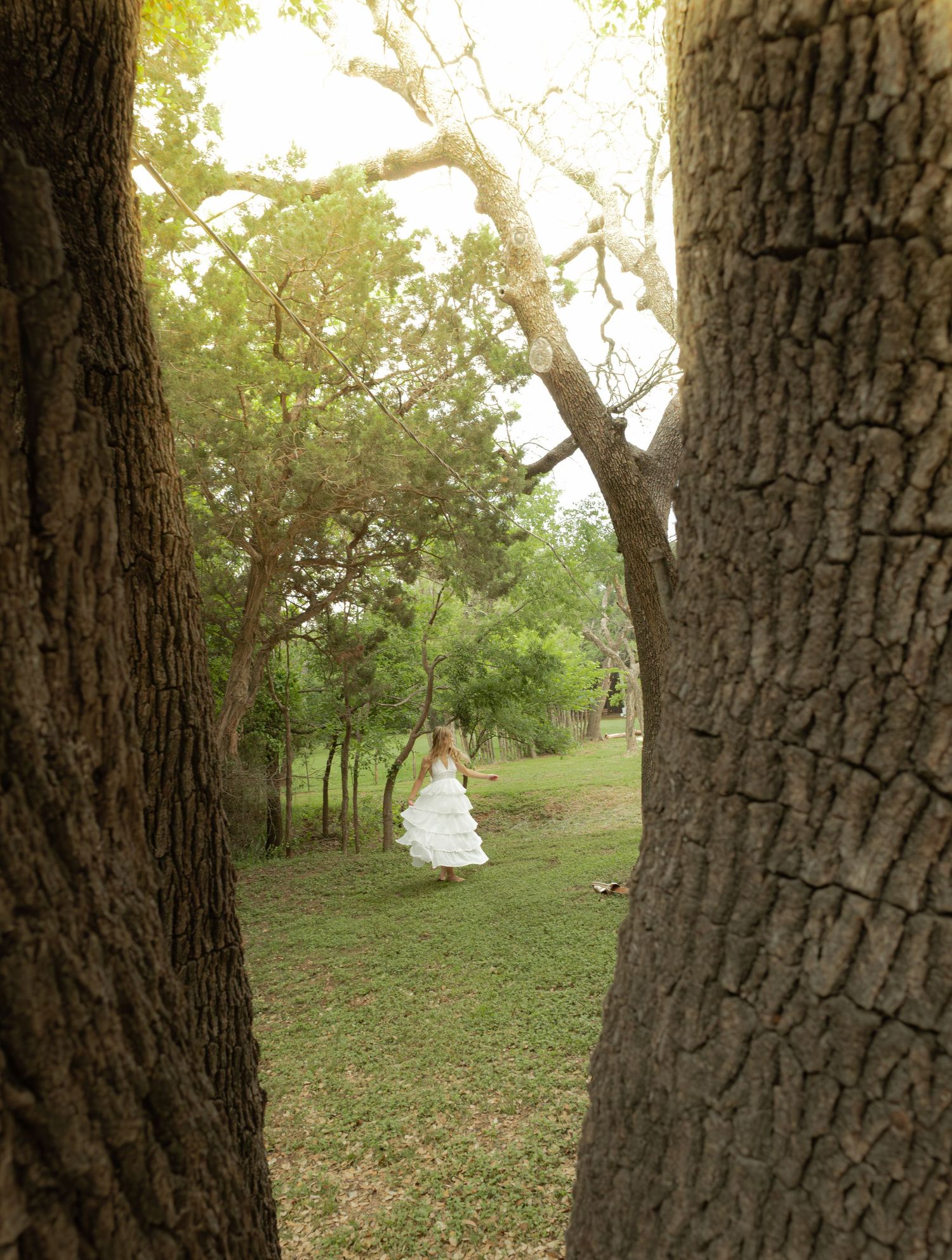 Bride in white wedding dress standing between two large oak trees in a lush green outdoor setting.
