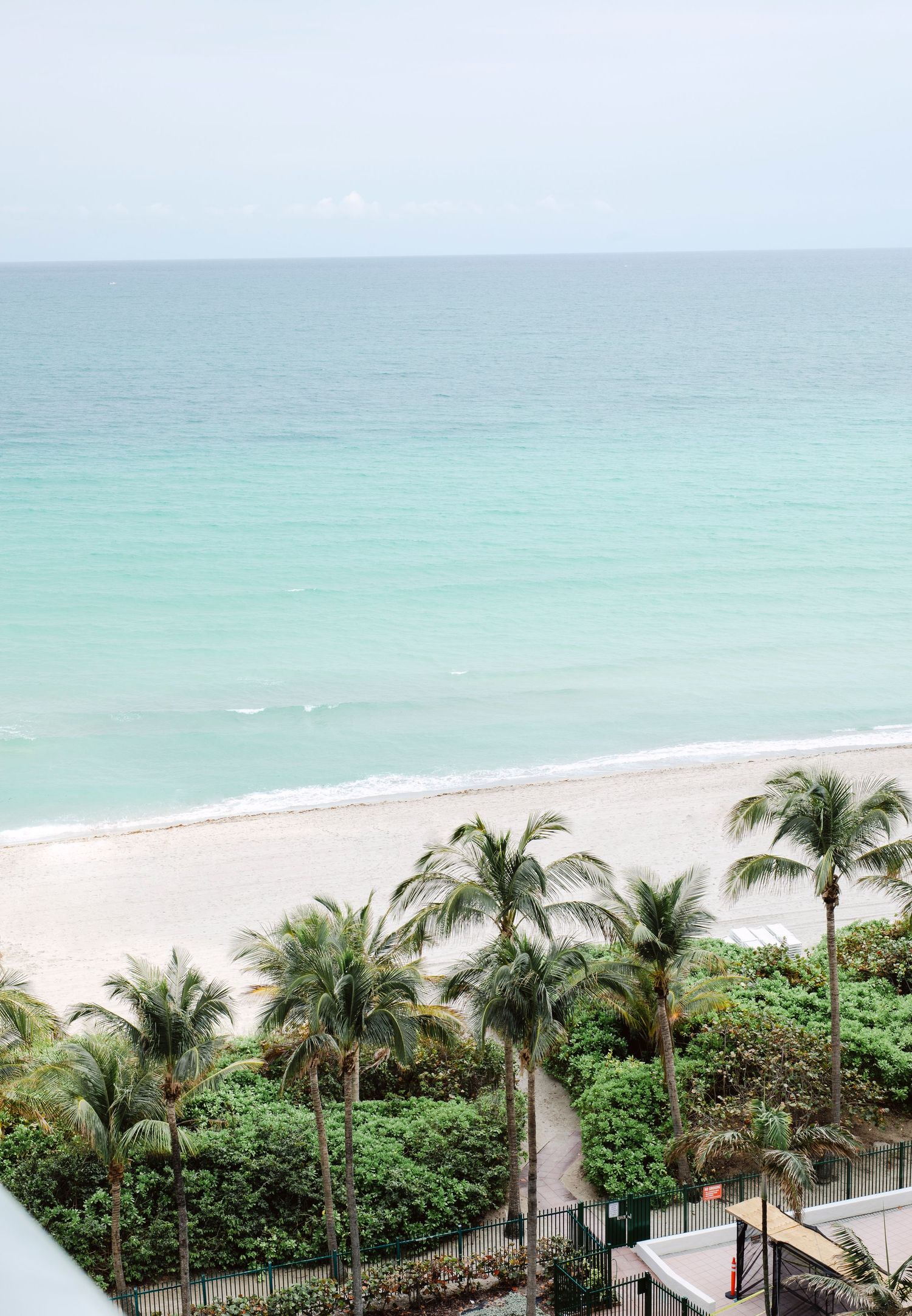 Aerial view of a pristine beach with turquoise waters and palm trees lining the sandy shoreline in tropical paradise.
