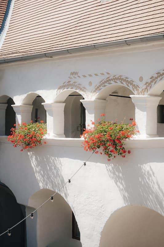 White arched building facade with vibrant red geraniums in window boxes and decorative frescoes under a tiled roof.