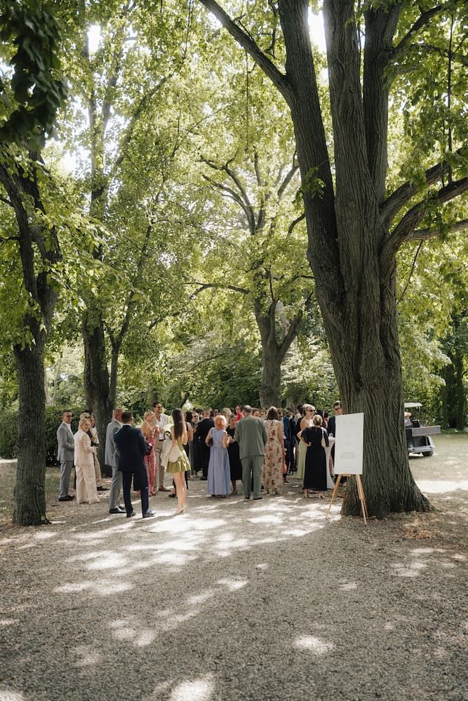 Guests mingle outdoors under large shade trees at an elegant garden wedding reception on a sunny day.