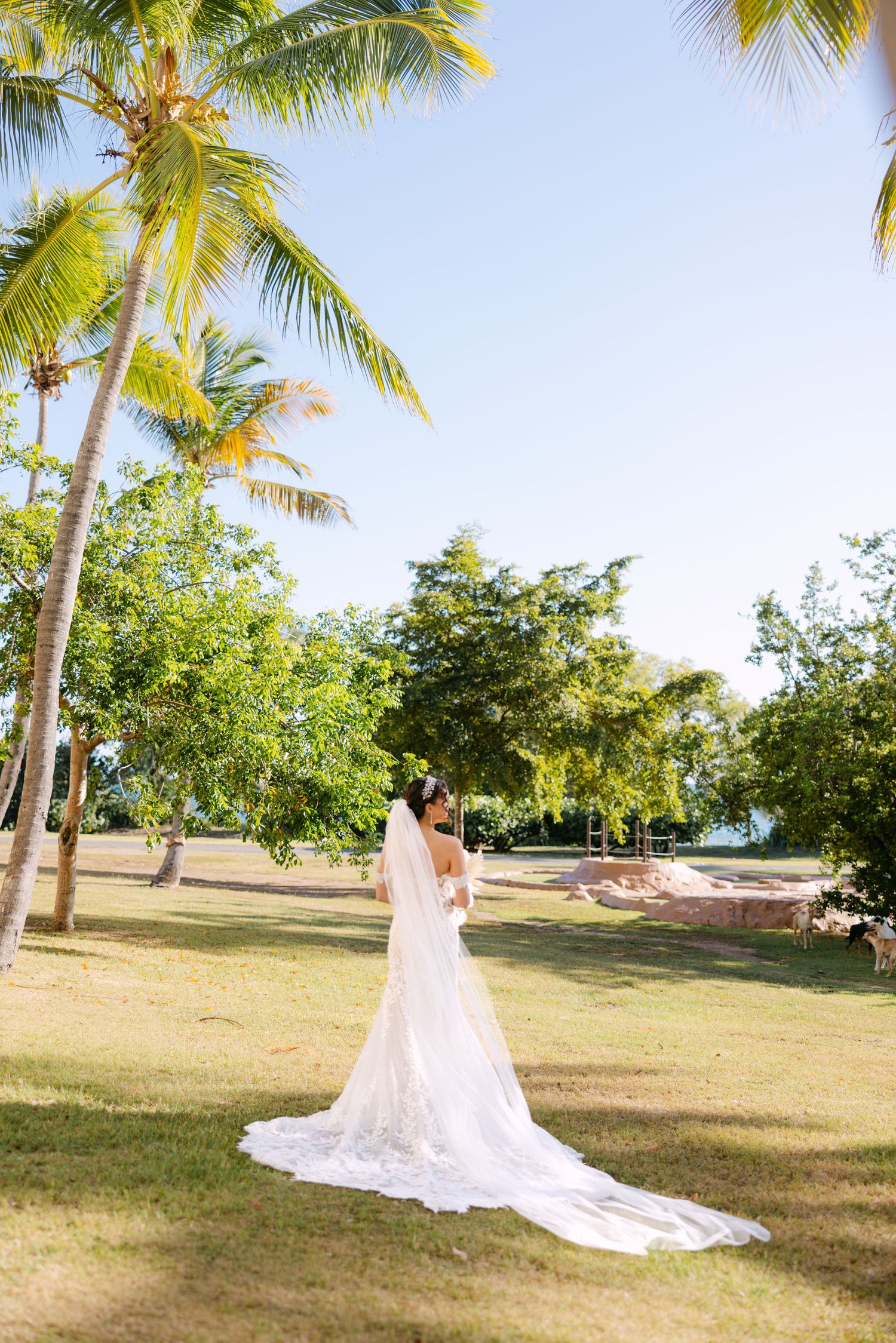 A bride in a flowing white lace gown stands beneath swaying palm trees in a tropical outdoor setting.