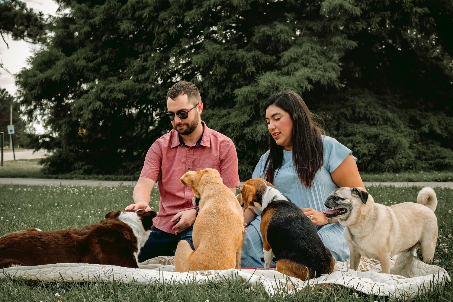 Lisa Graf Pet and Family Photography, freezing all family bonds and memories that last a lifetime.