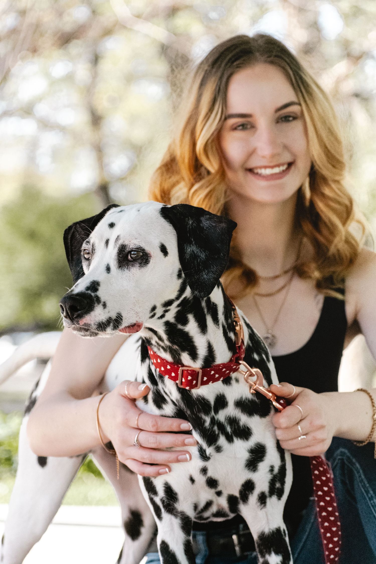 St. Louis lifestyle & pet photographer, Lisa Graf Photography in Lafayette Park