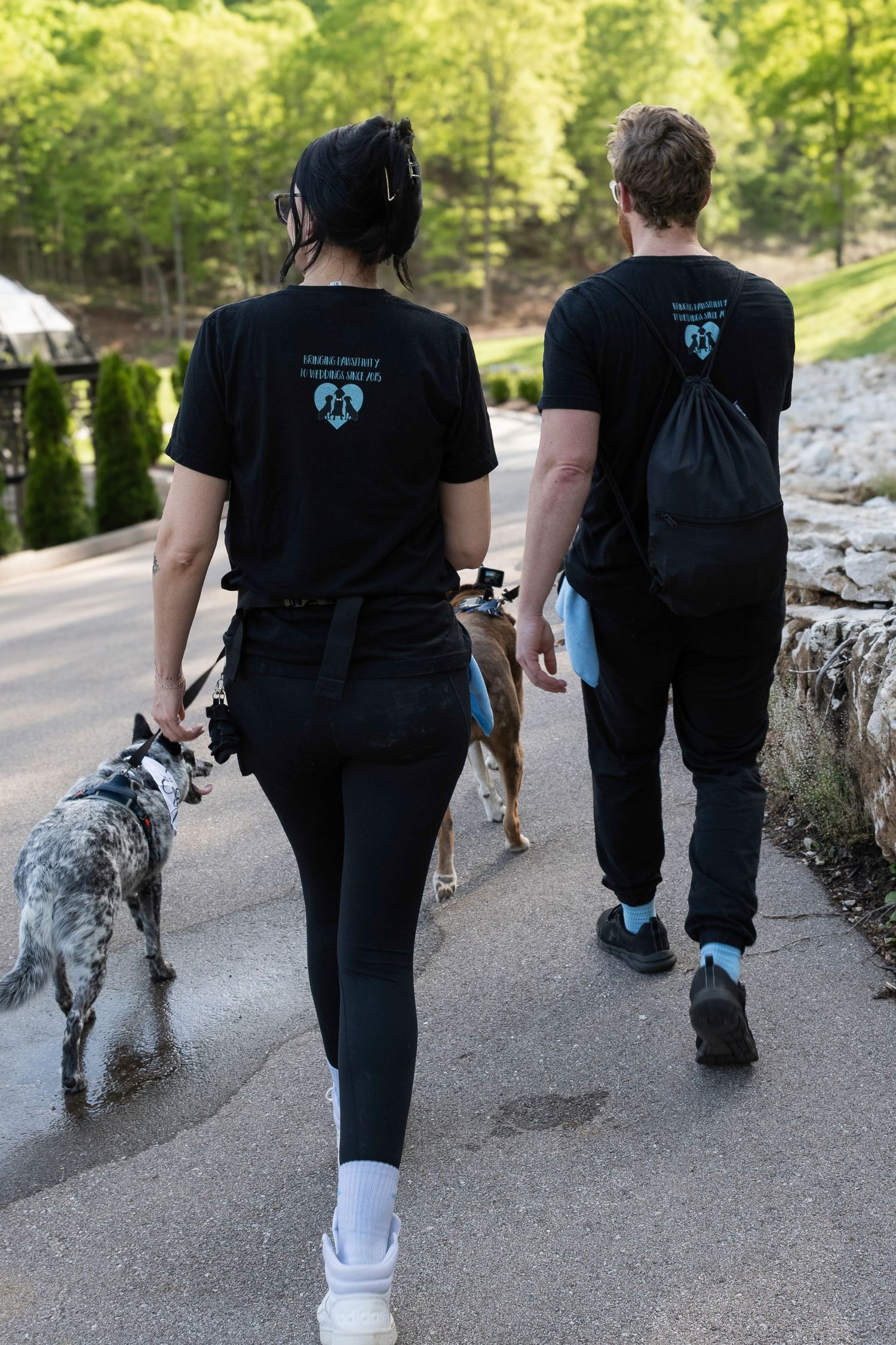 Fairytail petcare STL event. St. Louis, MO