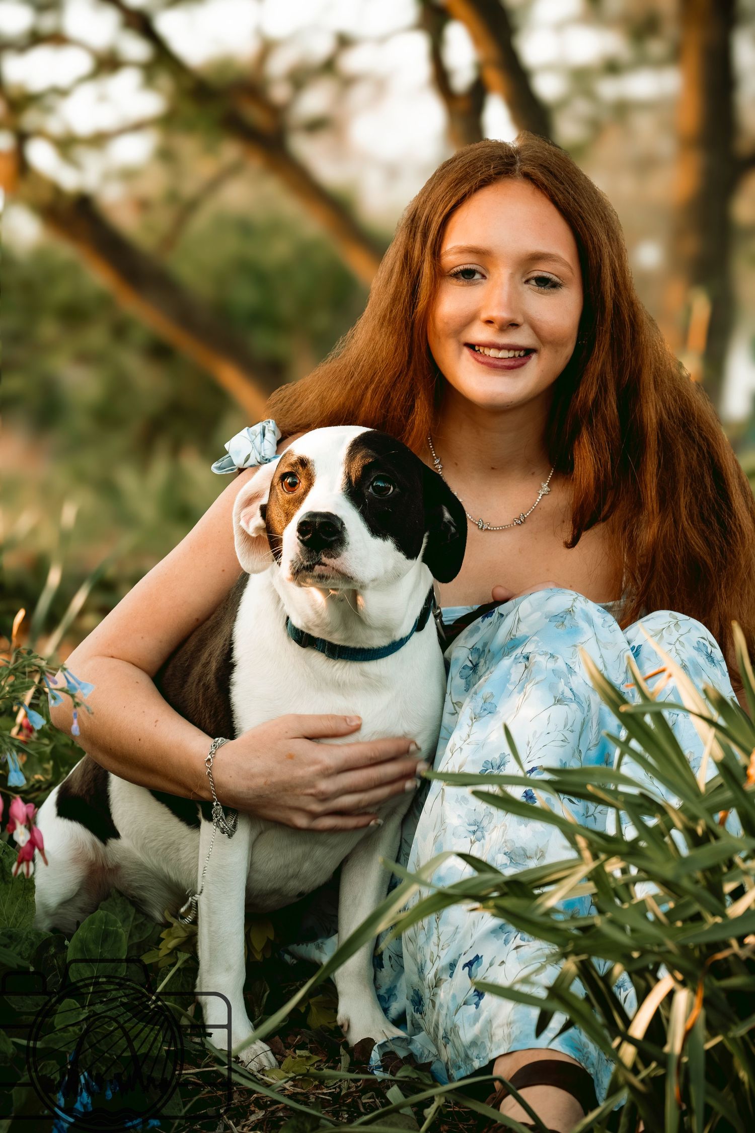 Lisa Graf Pet and Family Photography, sunrise pawtraits.