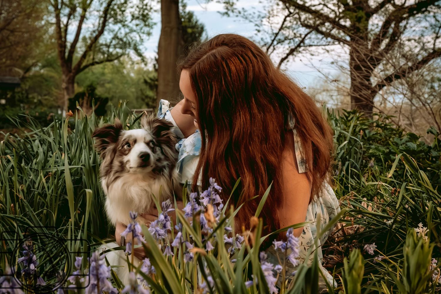 Lisa Graf Pet and Family Photography, sunrise pawtraits.
