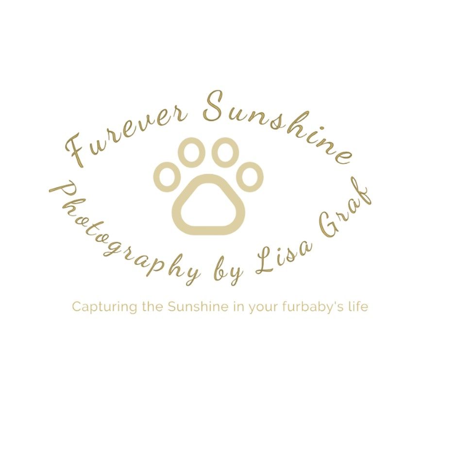 St. Louis lifestyle & pet photographer, Lisa Graf Photography in Forest Park